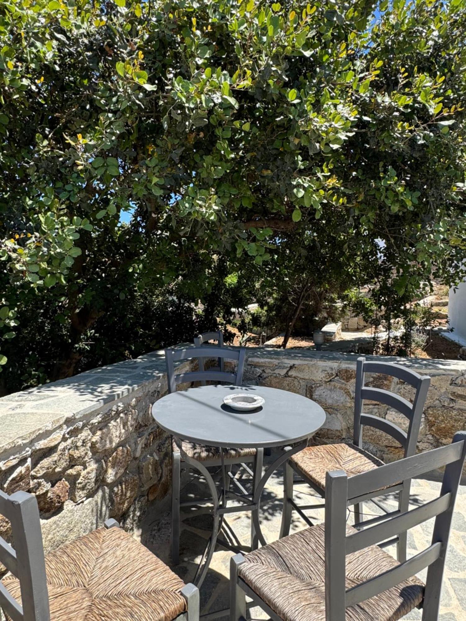 Apartamento Oxalis Mykonos *
